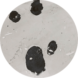 Шпатлевание 
 сколов